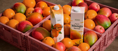 tetra juice nectar