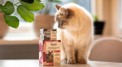 Katze mit Tetra Recart Verpackungen von Fauna