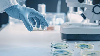 手持板实验室显微镜