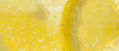 Lemon and lime in sparkling soda