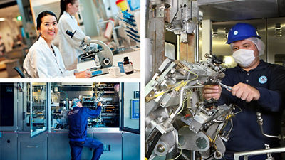 Food safety. Clean and safe food products.