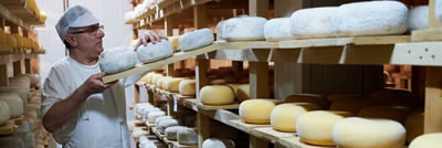 Un homme dans une usine de production de fromage