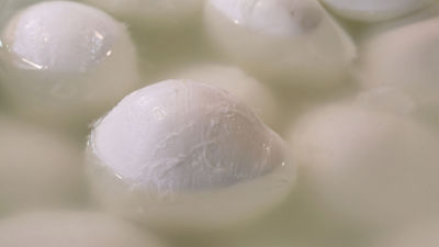 Mini mozzarellas en saumure