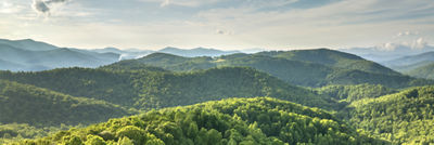 Landscape over forest