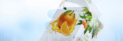 Printing design for orange juice, Tetra Rex carton package