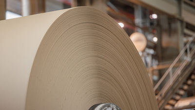 Paper roll in factory