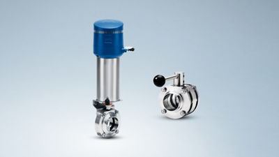 plant component butterfly valve