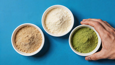 Powder ingredients prepared for processing and handling