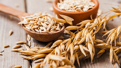 Processing solution for oat grain line