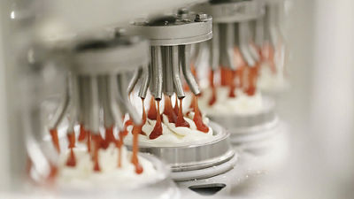 R&R Ice cream - the topping of success