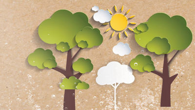 Illustration d'arbres ensoleillés sur un fond de contreplaqué