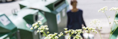 Recycling bins and flowers in sunshine