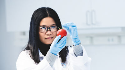 woman in lab, holding a tomato