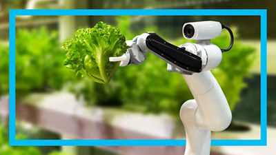 机器人收割沙拉