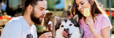 The science of why everyone loves ice cream