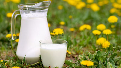 A jar and a glass of milk on green grass and yellow flowers