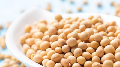 Soy beans in a bowl