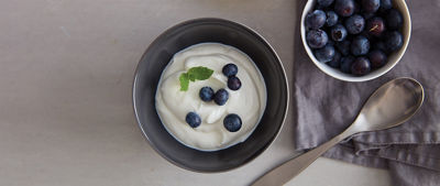 可松果酸和蓝莓