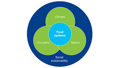 Sustainability circularity illustration