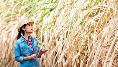 Woman taking sustainability notes on sugarcane field