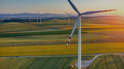 率先启动价值链碳排放核算与披露工作，推动价值链减碳进程  利乐中国发布2022年碳中和行动报告