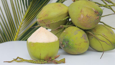 Coconut