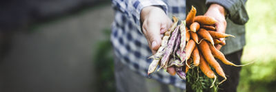 Frijoles y zanahorias