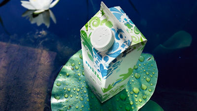 密契卡顿aufSeerosenblatt