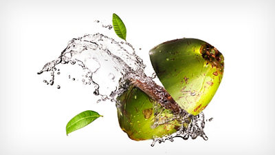 Coconut