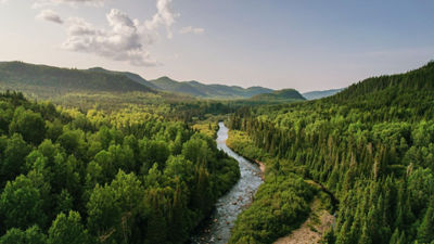 Rio atravessando uma extensa floresta verde entre montanhas, simbolizando preservação da natureza, biodiversidade e gestão responsável da água.