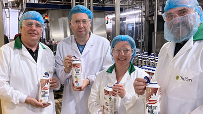 Tirlan employees in the factory