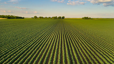 深耕绿色制造再添硕果 利乐中国三家工厂全部获评“国家级绿色工厂”