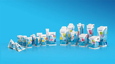 Package Portfolio Design Family Portion