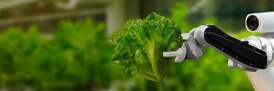 Robot sosteniendo una ensalada