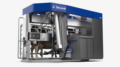 VMS V300 milking station