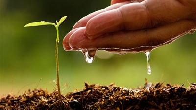 Watering plant form hands