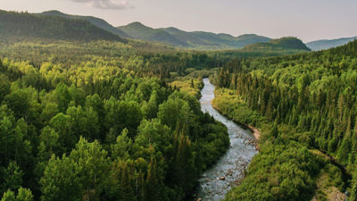 Winding river