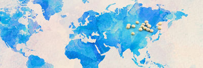 World map with soya beans