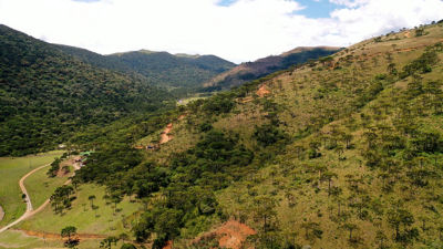 Land restoration programme in Brazil
