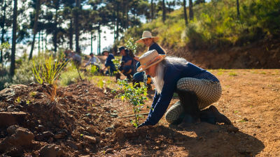farmers planting