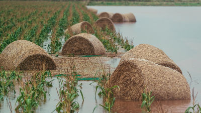 Hayballs under water