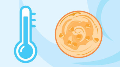 Vida útil del hummus, infografía