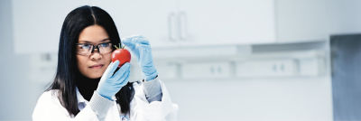 Female expert examining a tomato in a lab