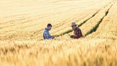 dos agricultores en el campo