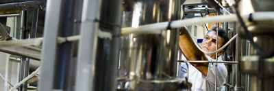 Man looking at processing equipment machine