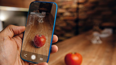 Smartphone scanning tomato