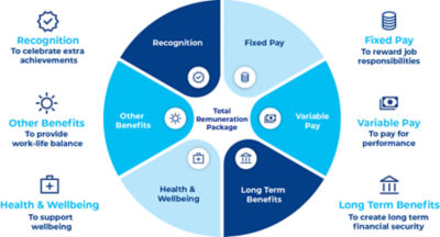 Infographic showing the six components of the total remuneration package. 