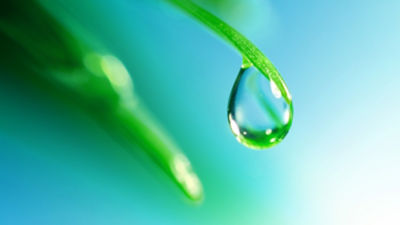 water droplet and grass blade