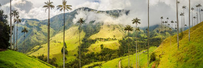 Nature in Colombia.