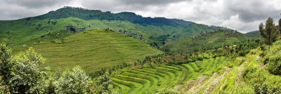Nature in Rwanda